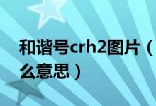 和諧號(hào)crh2圖片（和諧號(hào)上的印的CRH是什么意思）