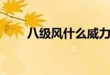 八級風(fēng)什么威力（八級風(fēng)什么概念）