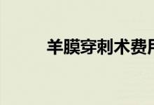 羊膜穿刺術(shù)費用（羊膜穿刺疼嗎）