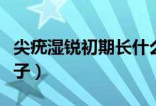尖疣濕銳初期長什么樣（尖銳濕疣初期什么樣子）