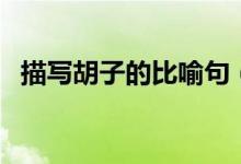 描寫胡子的比喻句（關于胡子的比喻句子）