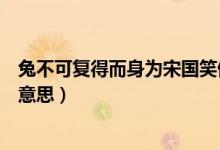 兔不可復(fù)得而身為宋國(guó)笑停頓（兔不可復(fù)得而身為宋國(guó)笑的意思）