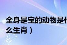 全身是寶的動(dòng)物是什么（全身是寶的動(dòng)物是什么生肖）