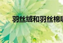 羽絲絨和羽絲棉哪個好（羽絲絨是啥）