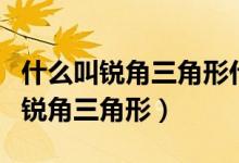 什么叫銳角三角形什么叫鈍角三角形（什么叫銳角三角形）