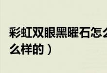 彩虹雙眼黑曜石怎么區(qū)分（彩虹眼黑曜石是什么樣的）