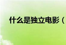 什么是獨立電影（什么是獨立院校阿？）