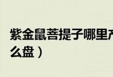 紫金鼠菩提子哪里產(chǎn)的最好（紫金鼠菩提子怎么盤）
