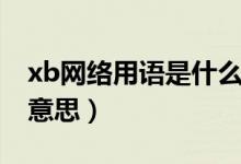 xb網(wǎng)絡(luò)用語是什么意思（xb是網(wǎng)絡(luò)中文什么意思）