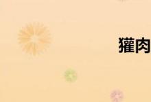 獾肉怎么吃？