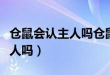 倉(cāng)鼠會(huì)認(rèn)主人嗎倉(cāng)鼠懷孕要多久（倉(cāng)鼠會(huì)認(rèn)主人嗎）