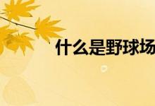 什么是野球場（什么是野茄子）