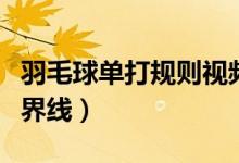 羽毛球單打規(guī)則視頻教程（羽毛球單打規(guī)則邊界線）