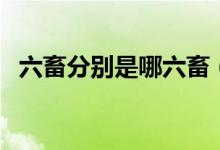 六畜分別是哪六畜（三牲六畜分別是什么）