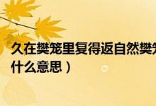 久在樊籠里復得返自然樊籠的意思（久在樊籠里 復得返自然什么意思）