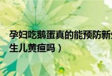 孕婦吃鵝蛋真的能預(yù)防新生兒黃疸嗎（孕婦吃鵝蛋能預(yù)防新生兒黃疸嗎）