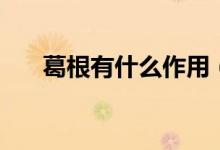 葛根有什么作用（葛根的功效與作用）