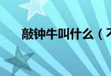 敲鐘牛叫什么（不殺敲鐘牛是什么梗）