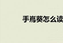 手嶌葵怎么讀（手嶌葵的簡介）