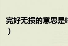 完好無(wú)損的意思是啥（完好無(wú)損的意思是什么）