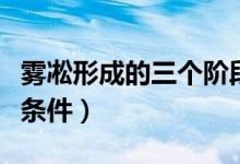 霧凇形成的三個階段的特色（霧凇形成的三個條件）