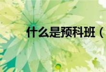 什么是預(yù)科班（需要哪些報考條件）