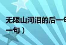 無(wú)限山河淚的后一句是什么（無(wú)限山河淚的下一句）