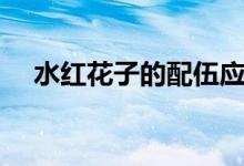 水紅花子的配伍應(yīng)用（水紅花子的別名）