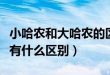 小哈農(nóng)和大哈農(nóng)的區(qū)別（孩子們的哈農(nóng)和哈農(nóng)有什么區(qū)別）