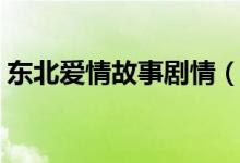 東北愛情故事劇情（東北愛情故事劇情簡介）