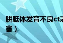 胼胝體發(fā)育不良ct表現(xiàn)（胼胝體發(fā)育不良的危害）