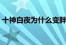 十神白夜為什么變胖（十神白夜為什么變胖）