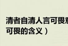 清者自清人言可畏意思是什么（清者自清人言可畏的含義）