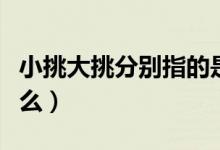 小挑大挑分別指的是什么（大挑小挑分別是什么）