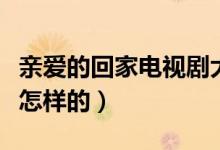 親愛的回家電視劇大結局(親愛的回家結局是怎樣的)