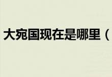 大宛國(guó)現(xiàn)在是哪里（大宛國(guó)現(xiàn)在是哪個(gè)國(guó)家）