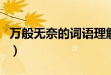 萬般無奈的詞語理解（萬般無奈的詞語解釋急）