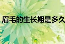 眉毛的生長期是多久（眉毛的生長期是多久）