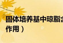 固體培養(yǎng)基中瓊脂含量一般為（固體培養(yǎng)基的作用）