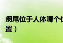 闌尾位于人體哪個(gè)位置（闌尾位于人體哪個(gè)位置）