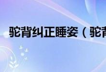 駝背糾正睡姿（駝背晚上睡姿的矯正方法）
