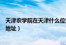 天津農(nóng)學(xué)院在天津什么位置（天津農(nóng)學(xué)院有幾個校區(qū)及校區(qū)地址）