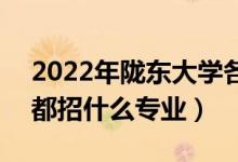 2022年隴東大學(xué)各省招生計劃及招生人數(shù)（都招什么專業(yè)）