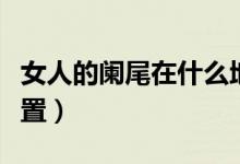女人的闌尾在什么地方（女人的闌尾在什么位置）