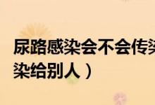 尿路感染會不會傳染到腎（尿路感染會不會傳染給別人）
