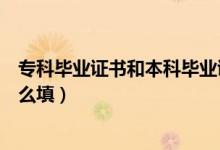 ?？飘厴I(yè)證書和本科畢業(yè)證書的區(qū)別（?？飘厴I(yè)證書類別怎么填）