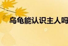 烏龜能認識主人嗎（烏龜能認識主人嗎）