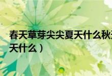 春天草芽尖尖夏天什么秋天什么冬天什么(春天草芽尖尖夏天什么)