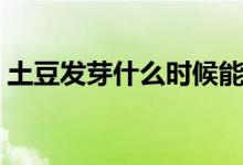 土豆發(fā)芽什么時候能種（土豆發(fā)芽什么樣子）