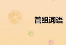 管組詞語（漢字管組詞）